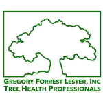 Gregory Forrest Lester, Inc.