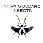 Sean Goddard Insects Gallery