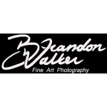 Brandon Walker Fine Art