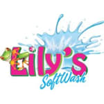Lily's SoftWash