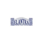 Elantra Gate Systems