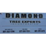 Diamond Tree Experts