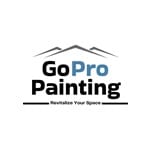 Go Pro Painting