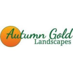 Autumn Gold Landscapes