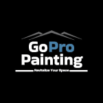 Go Pro Painting