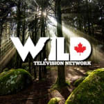 Wild TV
