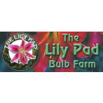 The Lily Pad