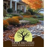 Grace Brothers Nursery