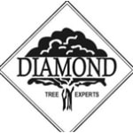Diamond Tree Experts