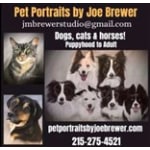Pet Portraits by Joe Brewer