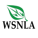 WSNLA
