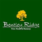 Bentley Ridge Tree Farm & Nursery