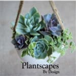 Plantscapes By Design