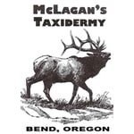 McLagan's Taxidermy