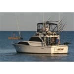 Lucky Bird Charter Service