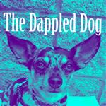 The Dappled Dog