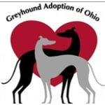 Greyhound Adoption of Ohio