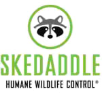 Skedaddle Humane Wildlife Control