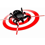 Eco-Tick Solutions Ottawa