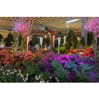 Inspiration and Ideas