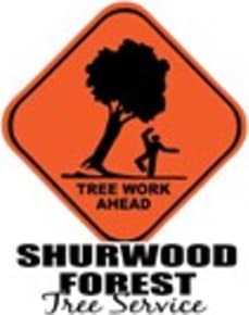Shurwood Forest