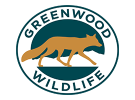 Greenwood Wildlife