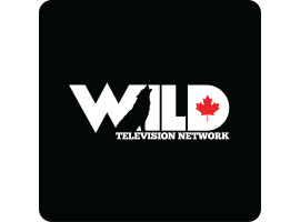 Wild Television Network