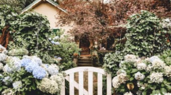Cottagecore Home Makeovers - How to Bring English Countryside Charm and Simple Living Indoors in 2026 (no matter your budget)