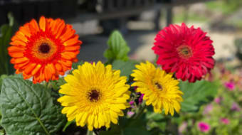 Garden Planning Tips to Kickstart Your 2026 Spring Landscaping Project