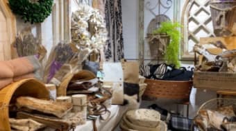 Ideas! Inspiration! Local Experts!
And Lots of Family Fun at the Maryland Fall Home & Garden + Craft Show Ideas! Inspiration! Local Experts!
And Lots of Family Fun at the Maryland Fall Home & Garden + Craft Show