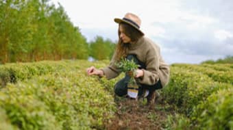 Ask a Gardener Ask a Gardener