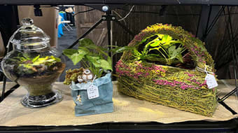 "Make it, Take it" With Fairy Garden Mother