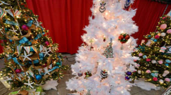 Christmas Tree Lane Christmas Tree Lane