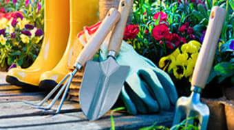 Rose Farm Inspiration Stage