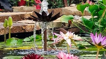 Water Garden Society