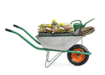 Garden Tools & Accessories