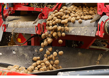 Harvesting & Handling Equipment