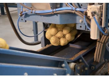 Potato Packaging Solutions