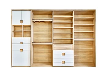 ORGANIZATION
