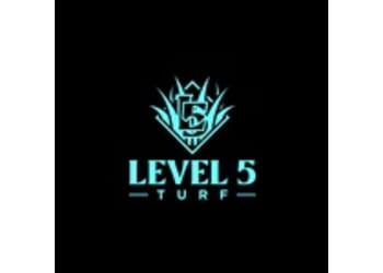 Level 5 Turf