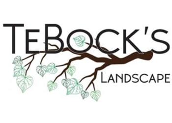 Tebock's Landscape