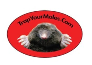 TrapYourMoles.com