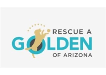 Rescue A Golden of AZ