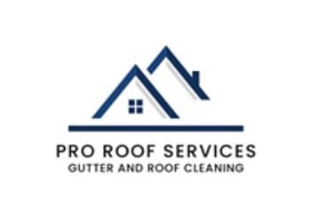 Pro Roof Services LLC