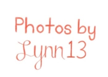 Photos by Lynn13