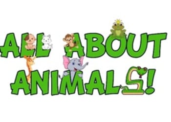 All About Animals