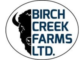 Birch Creek Bison