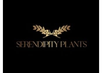 Serendipity Plants