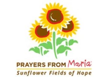 Prayers from Maria -Sunflowers & Hope