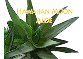 Hawaiian Moon